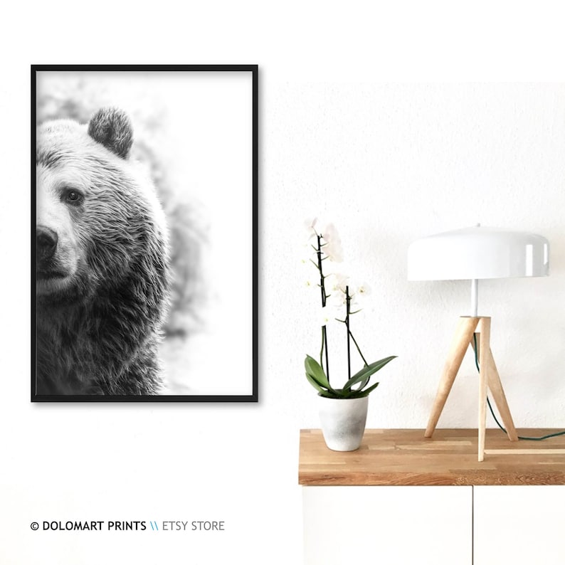 Bear Wall Art Bear Print Wilderness Photography Animal | Etsy