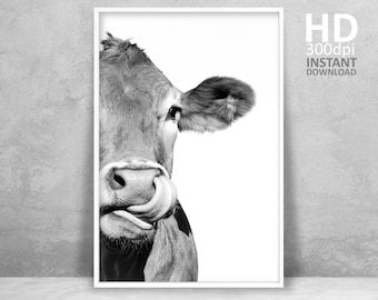 Cow Wall Art, Funny Cow Print, Rustic Home Decor, Cattle Photography, Animal Black White Printable Poster, Farm House Wall Decor, Cow Art