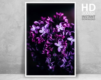 Purple Flower Print, Purple Flower Printable Photo, Purple Black Art, Purple Room Decor, Purple Flower Art, Purple and Black Flower Wall Art