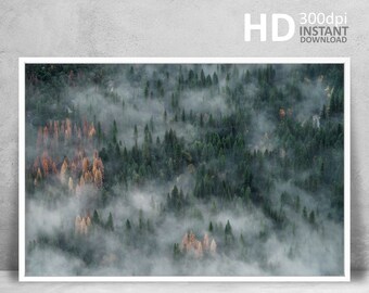 Misty Forest Print, Minimalist Landscape, Scandinavian Wall Art (Digital Download)