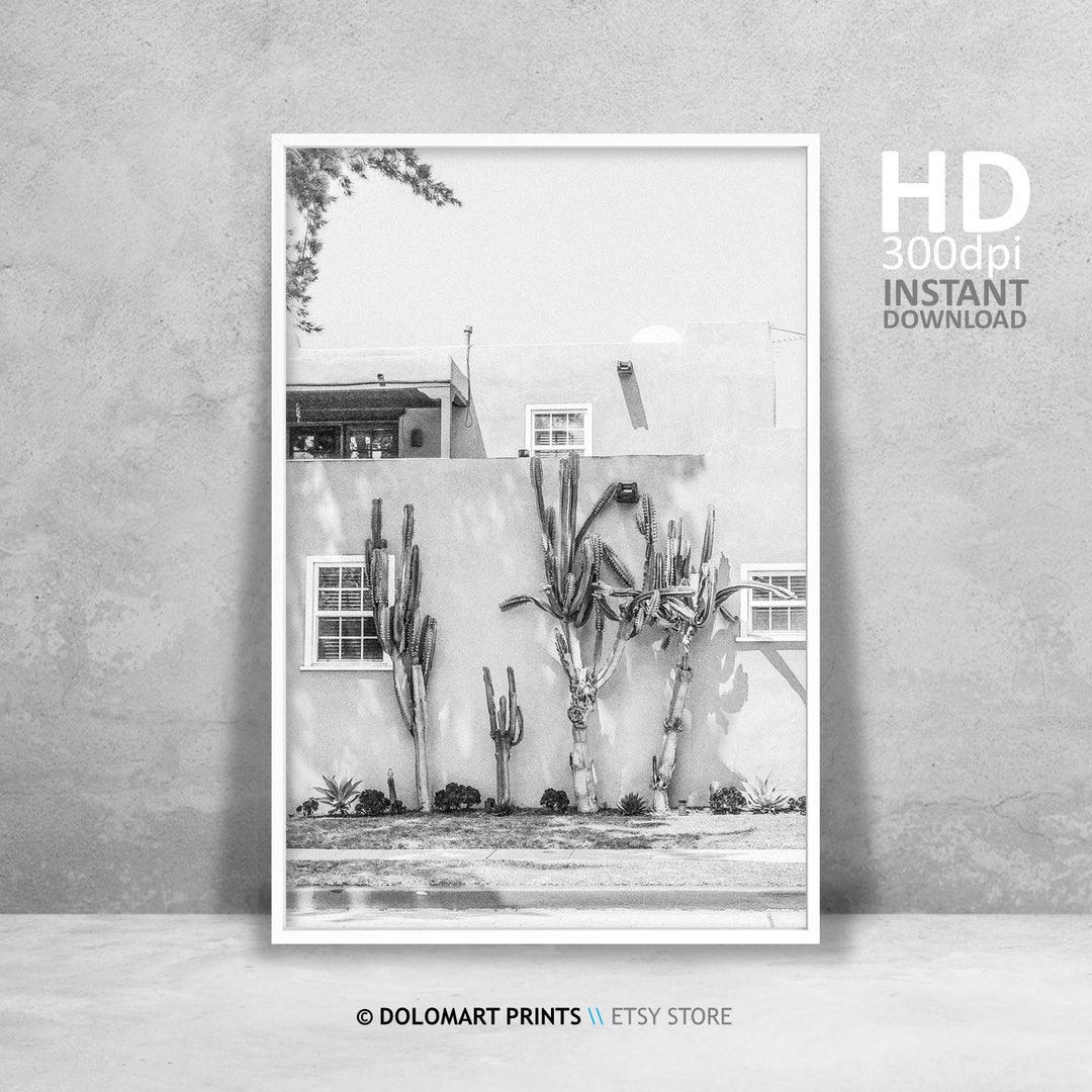 Black and White Cactus Print, Southwestern Desert Wall Art (digital ...