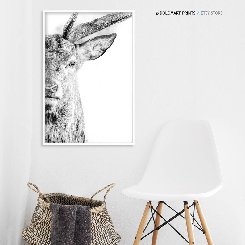 Deer Portrait Print, Wilderness Photography, Animal Poster (Digital Download) image 4