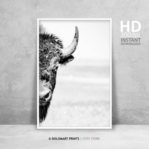 Bison Wall Art, Buffalo Print, Wilderness Photography, Animal Poster, Printable Wall Art Bison Buffalo Photo Large Wall Art Instant Download