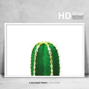 Succulents Print Set, Succulent Wall Art, Minimal Wall Art Decor, Botanical Print, Succulents Art Download, Succulents Plants, Cactus Print