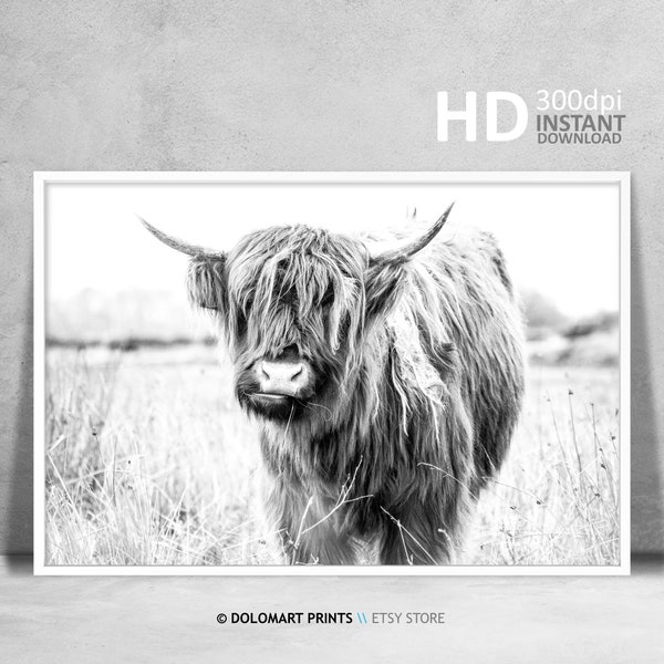 Rustic Highland Cow Print, Cattle Wall Art, Black and White, Animal Photography, Modern Minimalist Farm Animal Print, Digital Download Art