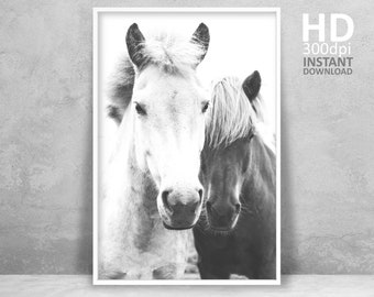 Icelandic Horse Print, Black and White Horses Portrait (Digital Download)
