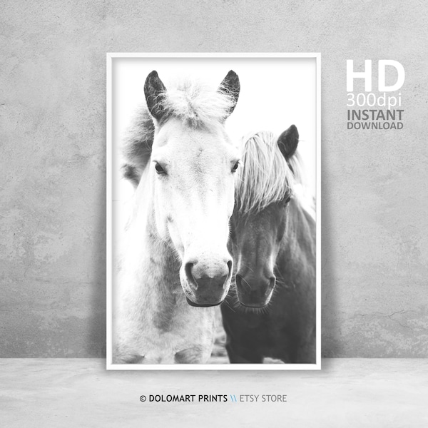 Black and White Horse Prints Etsy Australia