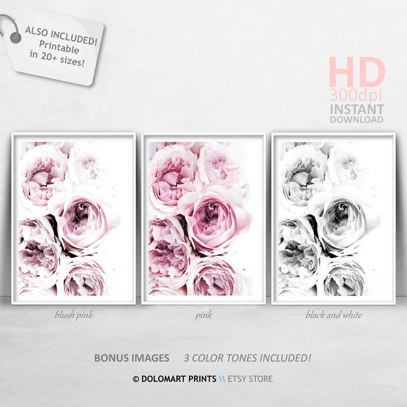Blush Pink Peony Print, Rose Wall Art, Peonie Printable, Floral Room ...