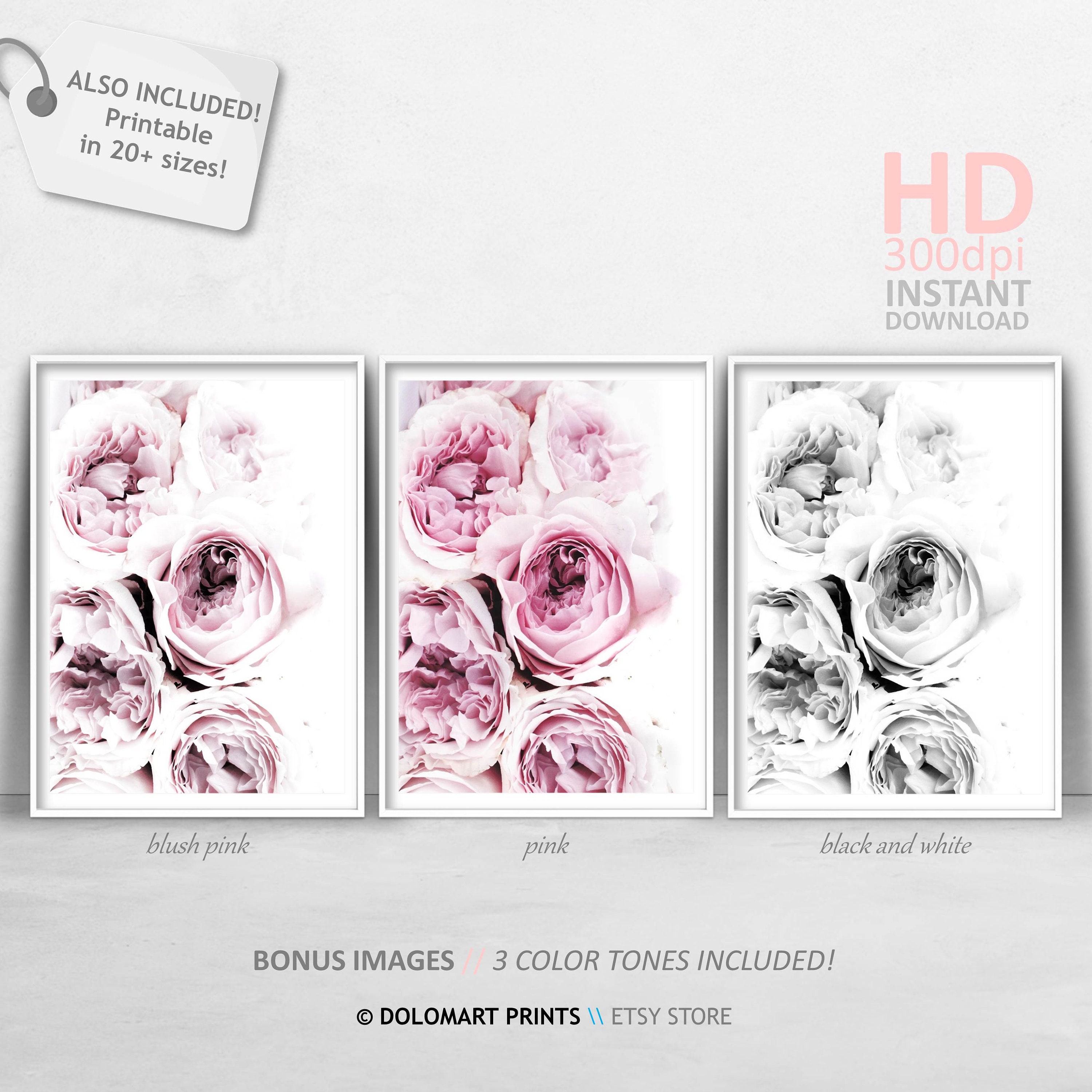 Blush Pink Peony Print, Rose Wall Art, Peonie Printable, Floral Room ...