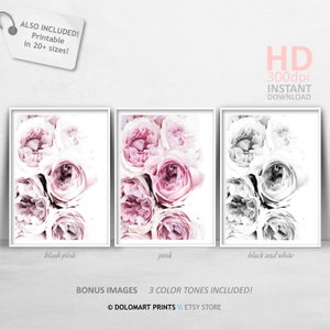 Pink Peonies Floral Photography Print, Minimalist Decor (Digital Download) image 4