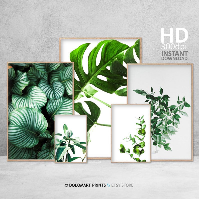 Tropical Green Leaves Gallery Wall Set, Botanic Art Prints (digital ...
