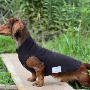 Miniature Dachshund Coat, Pullover, Black, Luxe Fleece
