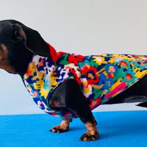 Dachshund Coat, Pullover, Multicolor