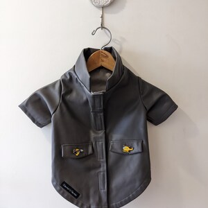 Dog Coat