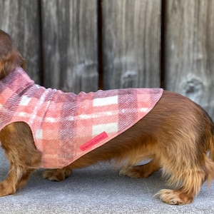 Miniature Dachshund Coat, Pullover