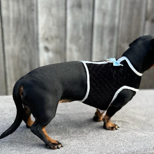 Dachshund Harness Etsy