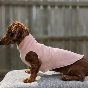 Miniature Dachshund Coat, Pullover