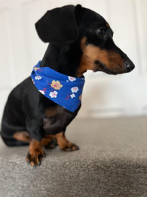 Small Dog Bandana 100 Cotton Etsy
