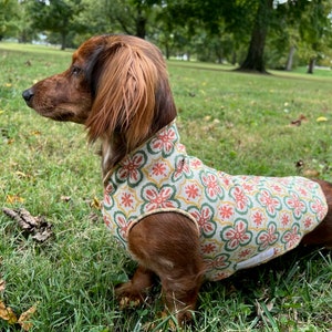 Dachshund Sweater, Double Layer
