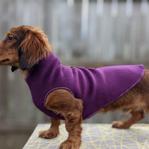 Miniature Dachshund Coat / Jacket