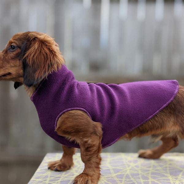 Dachshund Jacket Etsy