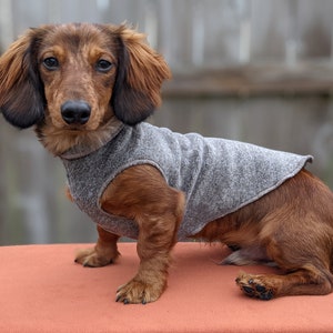 Miniature Dachshund Coat, Pullover