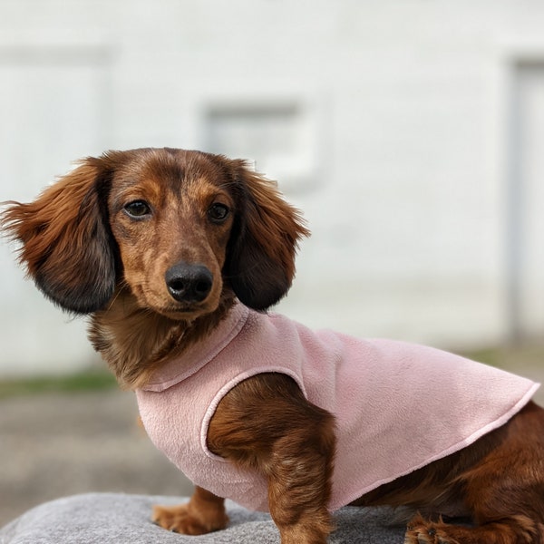 Miniature Dachshund Clothes Etsy