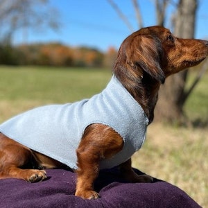 Dachshund Coat, Blue, Pullover, Luxe Fleece, Anti-Anxiety