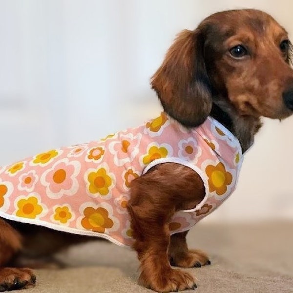 Dachshund T Shirt Etsy