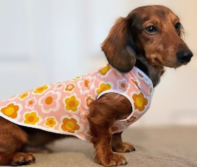 Miniature Dachshund Clothing Etsy