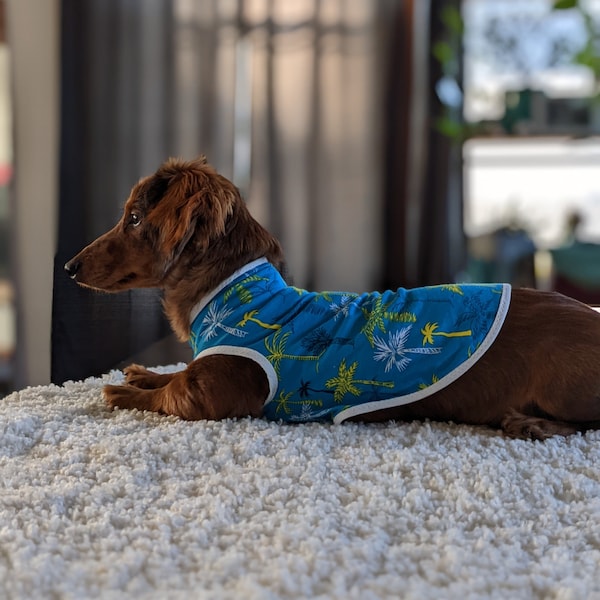 Dachshund T Shirt Etsy