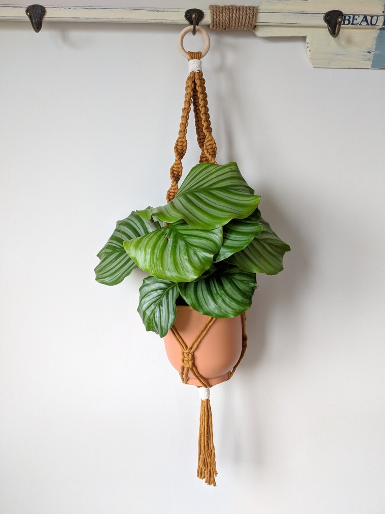 Macrame Plant Hanger Plant Holder Plant Hanger Wall Hanging Ceiling Hanging Hanging Planter 3mm Cotton Cord Indoor Plant Hanger