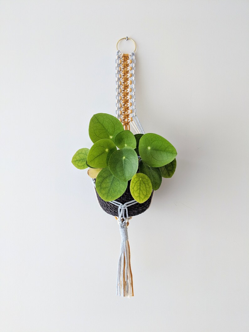 Macrame Plant Hanger Plant Holder Plant Hanger Wall Hanging Ceiling Hanging Hanging Planter 3mm Cotton Cord Indoor Plant Hanger