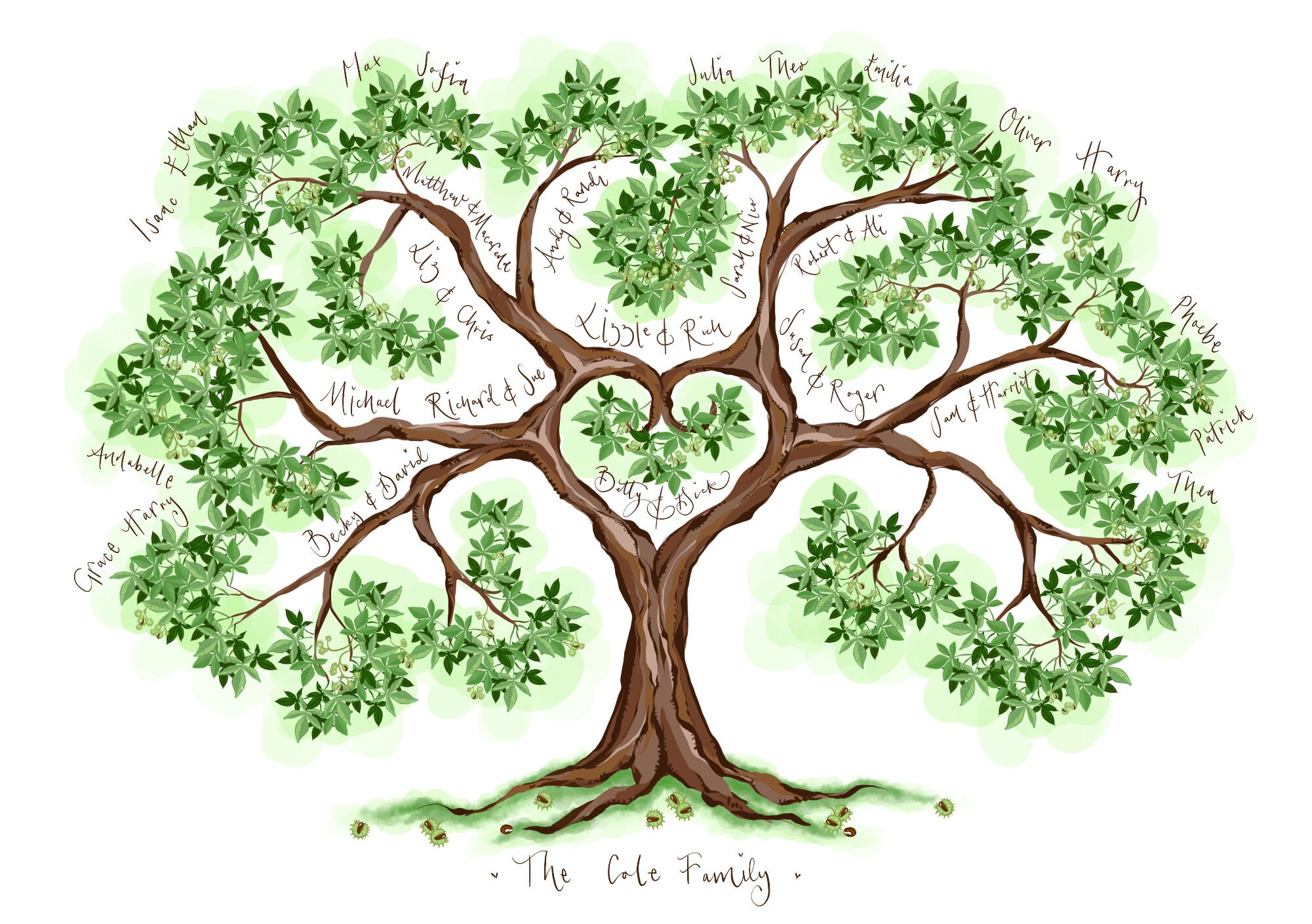 Horse Chestnut Family Tree, Conker Tree, Four Generations, Gift