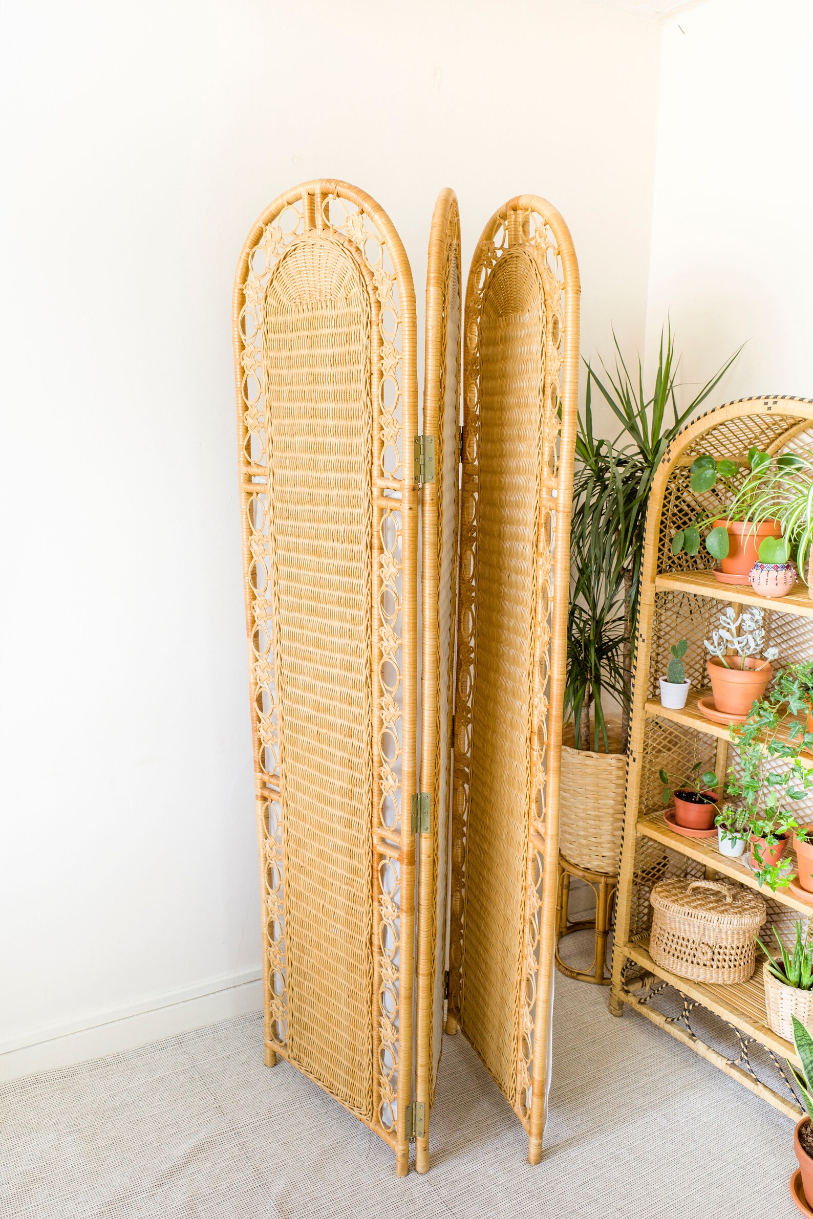 Bamboo Room Divider Screen With Privacy Curtains Rattan Etsy