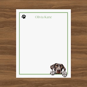 Puede incluir: Papelería blanca con borde verde y el nombre "Olivia Kane" en verde. Una huella de pata negra está en la esquina superior izquierda. Un perro de raza Braco Alemán asoma por la parte inferior.
