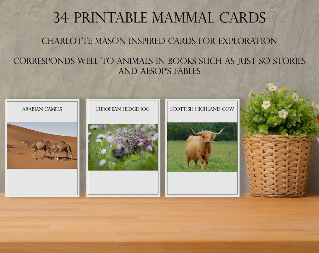 Printable Mammal Cards Charlotte Mason Inspired Nature Study Resource ...
