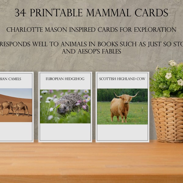 Printable Mammal Cards | Charlotte Mason Inspired Nature Study Resource | Homeschool Resource Aesop's Fables | Mammal Theme Printable Cards