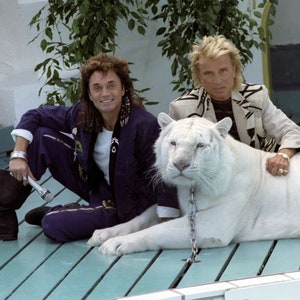 Siegfried and roy - Etsy 日本
