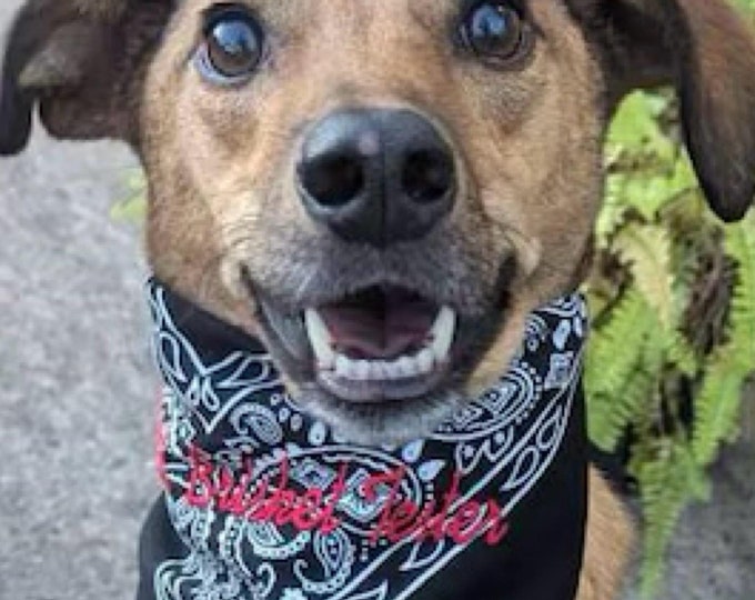 Dog Bandana, Personalize your Words, Font and Thread Color. Many Colors to Choose, Pet Birthday Gift, Pet Accessories, Pet Wedding