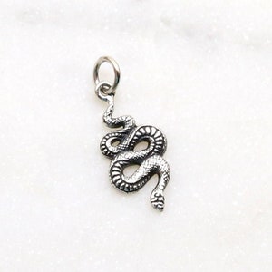 Small Curled Snake Serpent Serpentine Charm Reptile Pendant, Sterling Silver, Animal Charm Western, Viper, Chinese Zodiac, 925 Snake Pendant