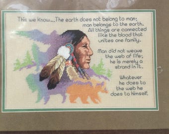 Vintage American Indian Cross Stitch Kit. 1990s design - Linda K Powell. Discontinued Earth & Man Series by Dimensions. Chief Seattle Speech