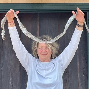 May include: A pale snakeskin, recently shed, is held up against a wooden door and green trim. The snakeskin is long and thin, with a textured surface. The person holding the snakeskin is wearing a white long-sleeved shirt.