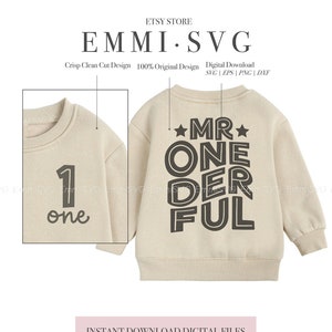 senhor onederful SVG png, camisa svg de primeiro aniversário de menino, primeiro aniversário SVG PNG, um derful svg, 1 ano de idade svg. camisa de um ano para meninos