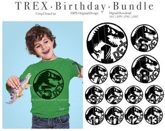 t rex birthday svg bundle, dinosaur svg bundle, birthday saurus svg bundle, boys birthday svg shirt bundle, dinosaur shirt design for boys