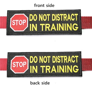 May include: Black and yellow patch with the text "DO NOT DISTRACT IN TRAINING" and a red stop sign. The patch is attached to a red strap.