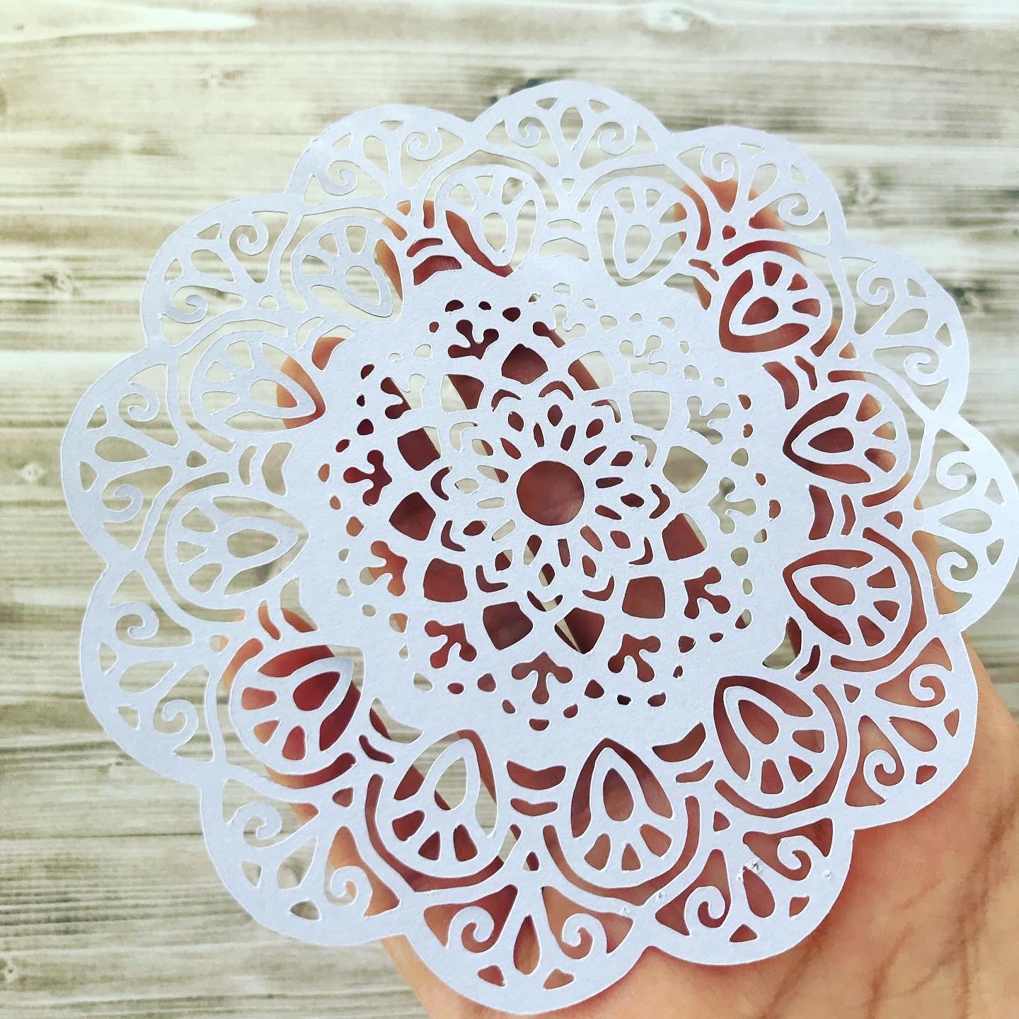 Pastel Paper Lace Doilies Pack of 12 Party Special Occasions Etsy