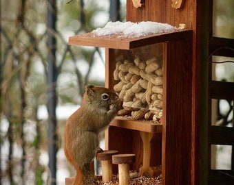 Squirrel Feeder Etsy
