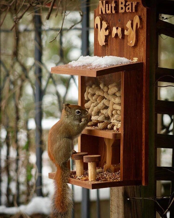 Nut Bar Squirrel Bird Feeder Etsy