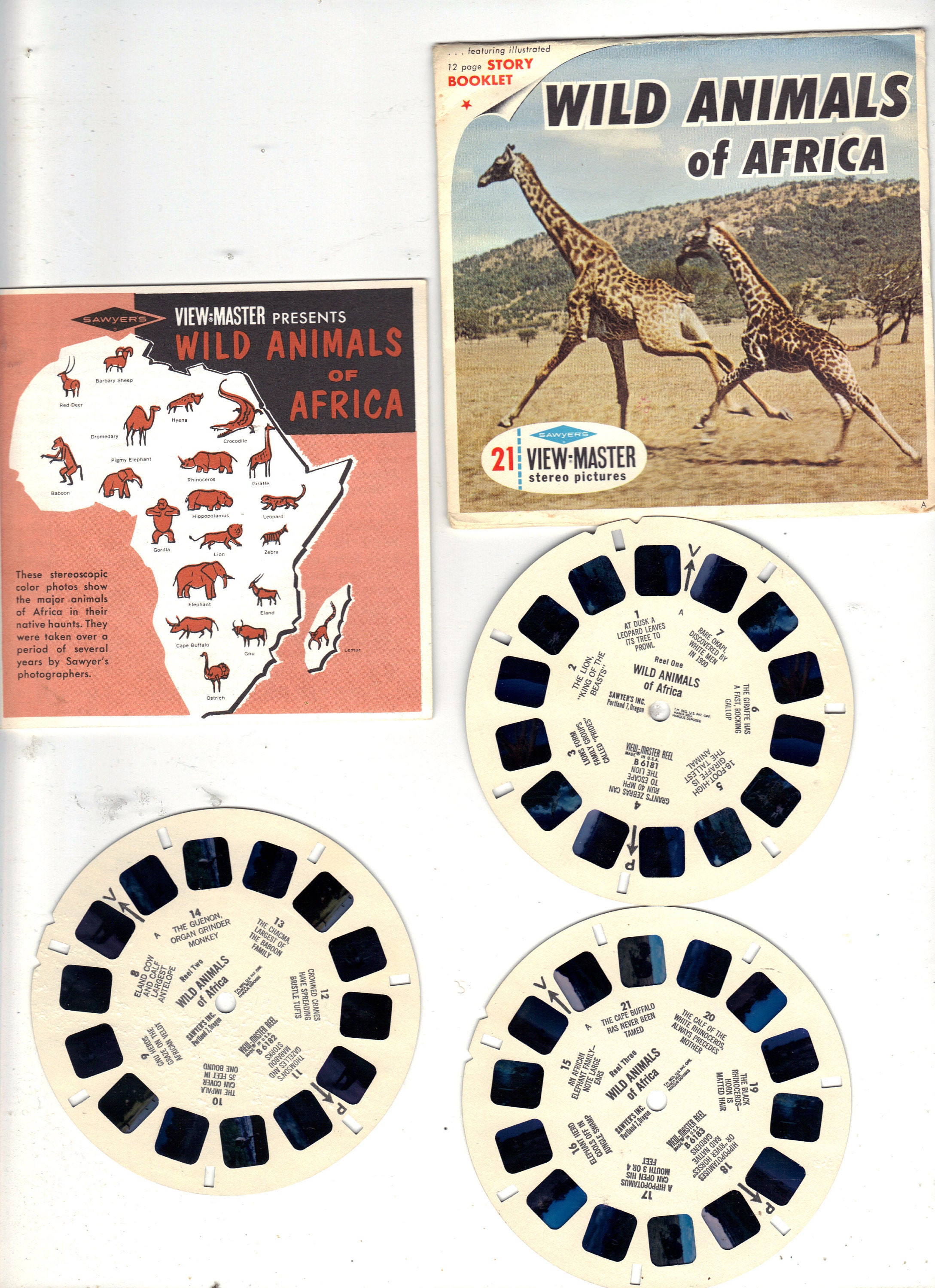 Lot of 3 Vintage Viewmaster Reels Wild Animals of Africa 